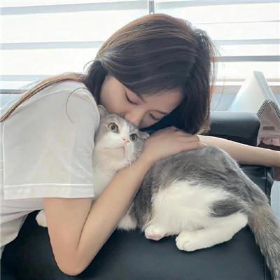 宝嘉先生